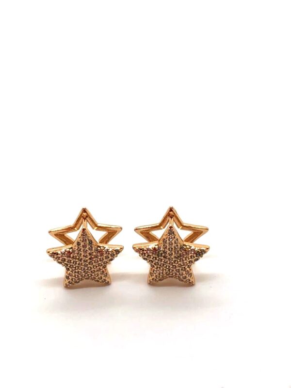 Brinco tipo Argola Estrela Cravejada